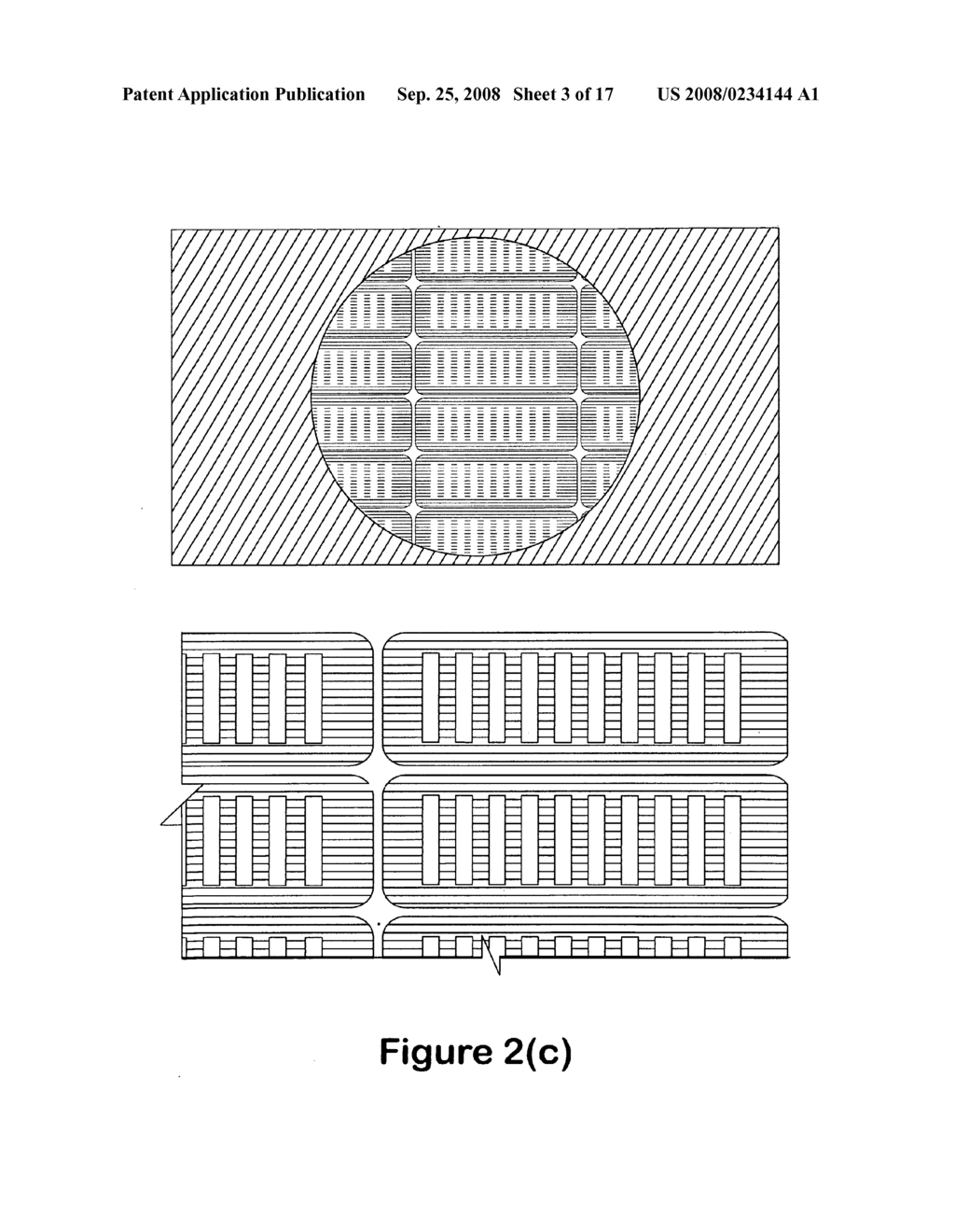 Apparatus and method for digital magnetic beads analysis - diagram, schematic, and image 04