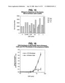 Glial mitogenic factors, their preparation and use diagram and image