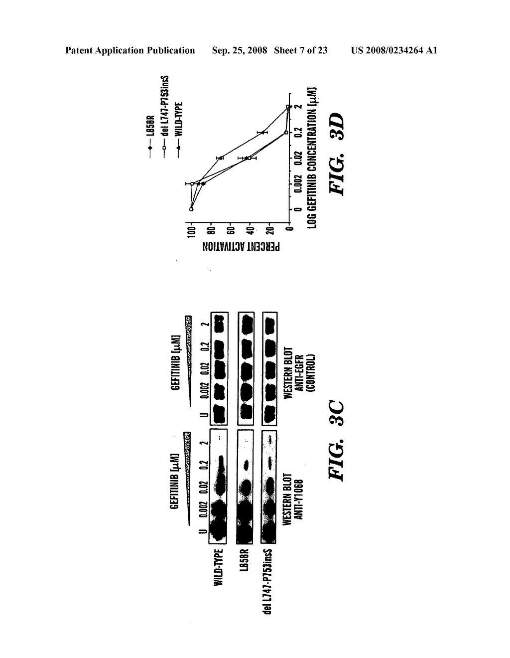 Method to determine responsiveness of cancer to epidermal growth factor receptor targeting treatments - diagram, schematic, and image 08