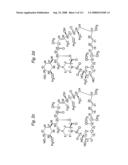 MACROCYCLIC LACTONE COMPOUNDS AND METHODS FOR THEIR USE diagram and image