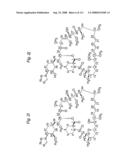 MACROCYCLIC LACTONE COMPOUNDS AND METHODS FOR THEIR USE diagram and image