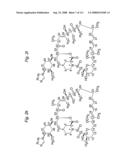 MACROCYCLIC LACTONE COMPOUNDS AND METHODS FOR THEIR USE diagram and image