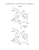 MACROCYCLIC LACTONE COMPOUNDS AND METHODS FOR THEIR USE diagram and image