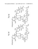 MACROCYCLIC LACTONE COMPOUNDS AND METHODS FOR THEIR USE diagram and image