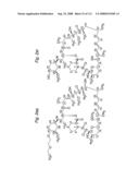 MACROCYCLIC LACTONE COMPOUNDS AND METHODS FOR THEIR USE diagram and image