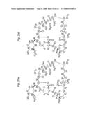 MACROCYCLIC LACTONE COMPOUNDS AND METHODS FOR THEIR USE diagram and image