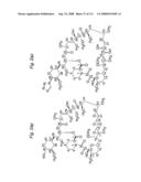 MACROCYCLIC LACTONE COMPOUNDS AND METHODS FOR THEIR USE diagram and image