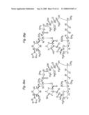 MACROCYCLIC LACTONE COMPOUNDS AND METHODS FOR THEIR USE diagram and image