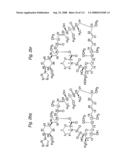 MACROCYCLIC LACTONE COMPOUNDS AND METHODS FOR THEIR USE diagram and image