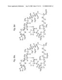 MACROCYCLIC LACTONE COMPOUNDS AND METHODS FOR THEIR USE diagram and image