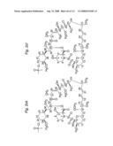 MACROCYCLIC LACTONE COMPOUNDS AND METHODS FOR THEIR USE diagram and image