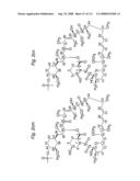 MACROCYCLIC LACTONE COMPOUNDS AND METHODS FOR THEIR USE diagram and image