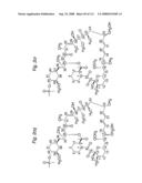 MACROCYCLIC LACTONE COMPOUNDS AND METHODS FOR THEIR USE diagram and image