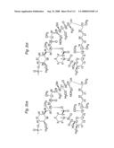 MACROCYCLIC LACTONE COMPOUNDS AND METHODS FOR THEIR USE diagram and image