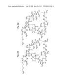 MACROCYCLIC LACTONE COMPOUNDS AND METHODS FOR THEIR USE diagram and image