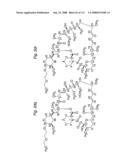 MACROCYCLIC LACTONE COMPOUNDS AND METHODS FOR THEIR USE diagram and image