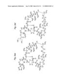 MACROCYCLIC LACTONE COMPOUNDS AND METHODS FOR THEIR USE diagram and image