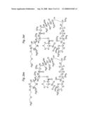 MACROCYCLIC LACTONE COMPOUNDS AND METHODS FOR THEIR USE diagram and image