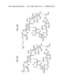 MACROCYCLIC LACTONE COMPOUNDS AND METHODS FOR THEIR USE diagram and image