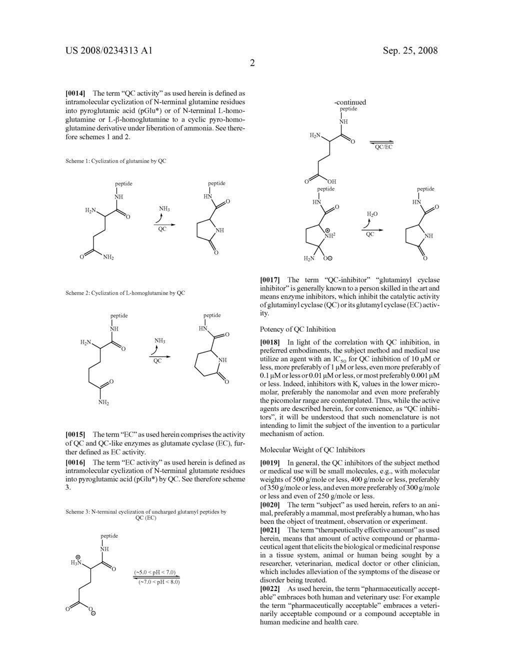 NOVEL INHIBITORS - diagram, schematic, and image 03