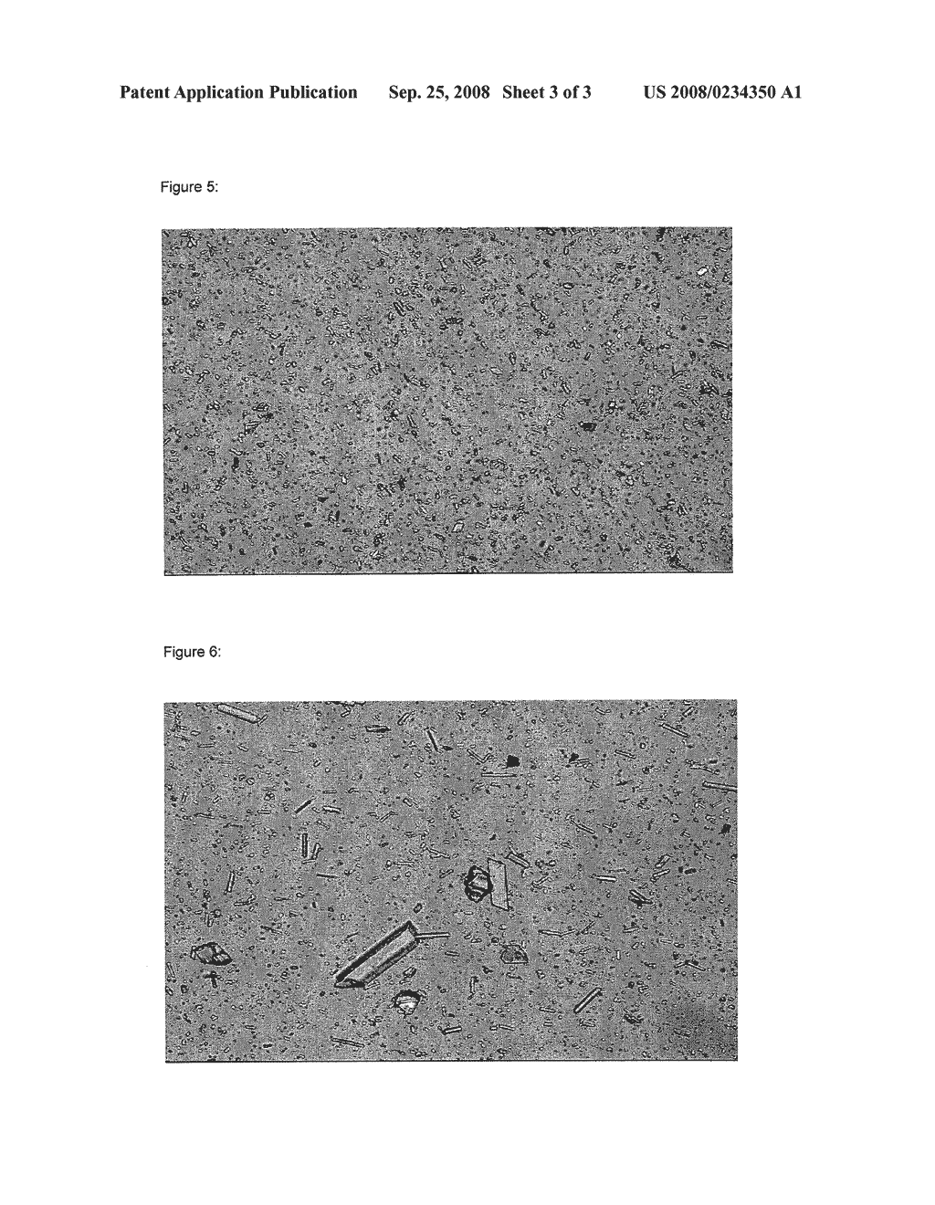 Crystalline Modifications to Pyraclostrobin - diagram, schematic, and image 04