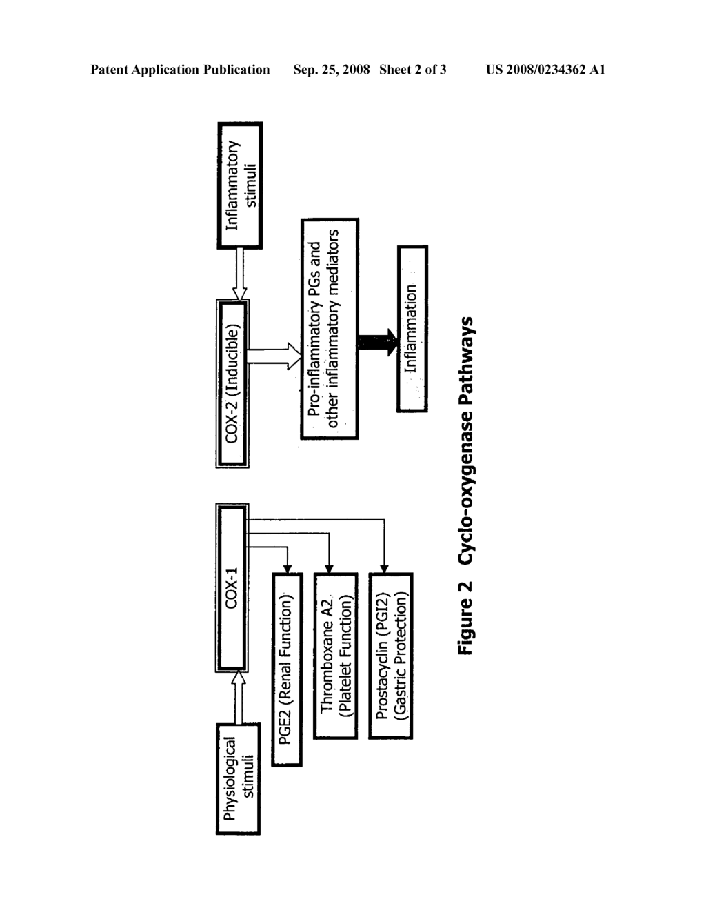 Treatment for Asthma and Arthritis and Other Inflammatory Diseases - diagram, schematic, and image 03