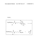 NOVEL PEGYLATED AMINO ACID DERIVATIVES AND THE PROCESS TO SYNTHESIZE THE SAME diagram and image