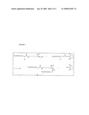 NOVEL PEGYLATED AMINO ACID DERIVATIVES AND THE PROCESS TO SYNTHESIZE THE SAME diagram and image