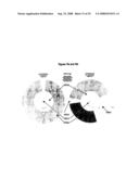 BI-POLAR TREATMENT FACILITY FOR TREATING TARGET CELLS WITH BOTH POSITIVE AND NEGATIVE IONS diagram and image