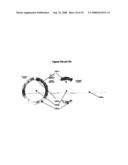 BI-POLAR TREATMENT FACILITY FOR TREATING TARGET CELLS WITH BOTH POSITIVE AND NEGATIVE IONS diagram and image