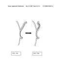 Surgical Scaffold diagram and image