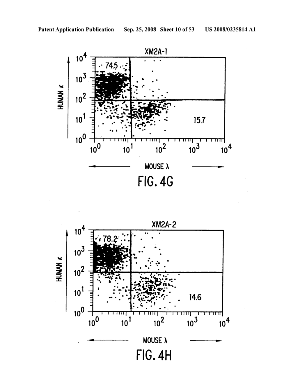 Transgenic mammals having human Ig loci including plural VH and VK regions and antibodies produced therefrom - diagram, schematic, and image 11