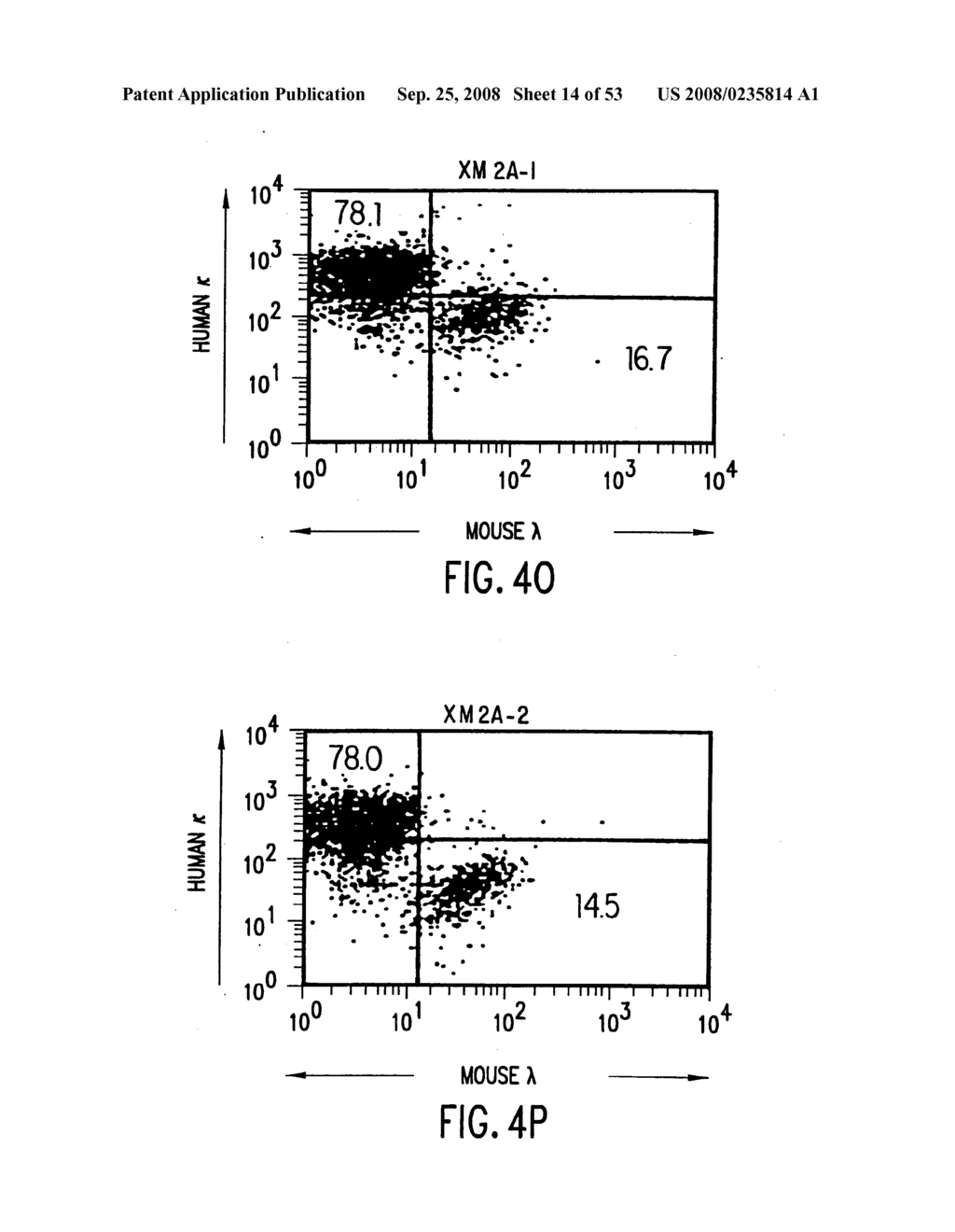 Transgenic mammals having human Ig loci including plural VH and VK regions and antibodies produced therefrom - diagram, schematic, and image 15