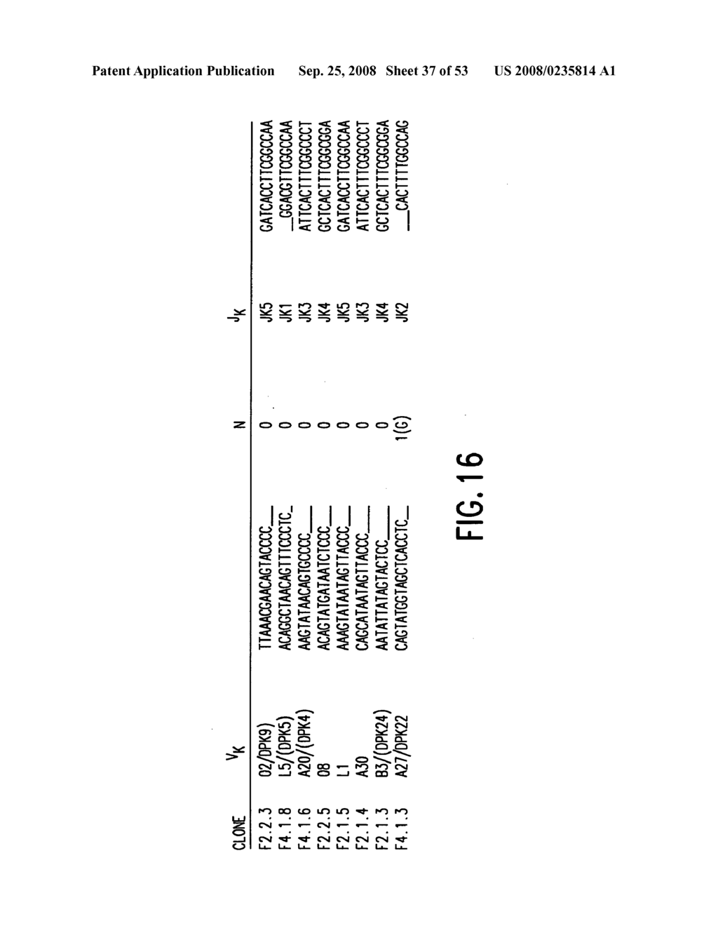 Transgenic mammals having human Ig loci including plural VH and VK regions and antibodies produced therefrom - diagram, schematic, and image 38