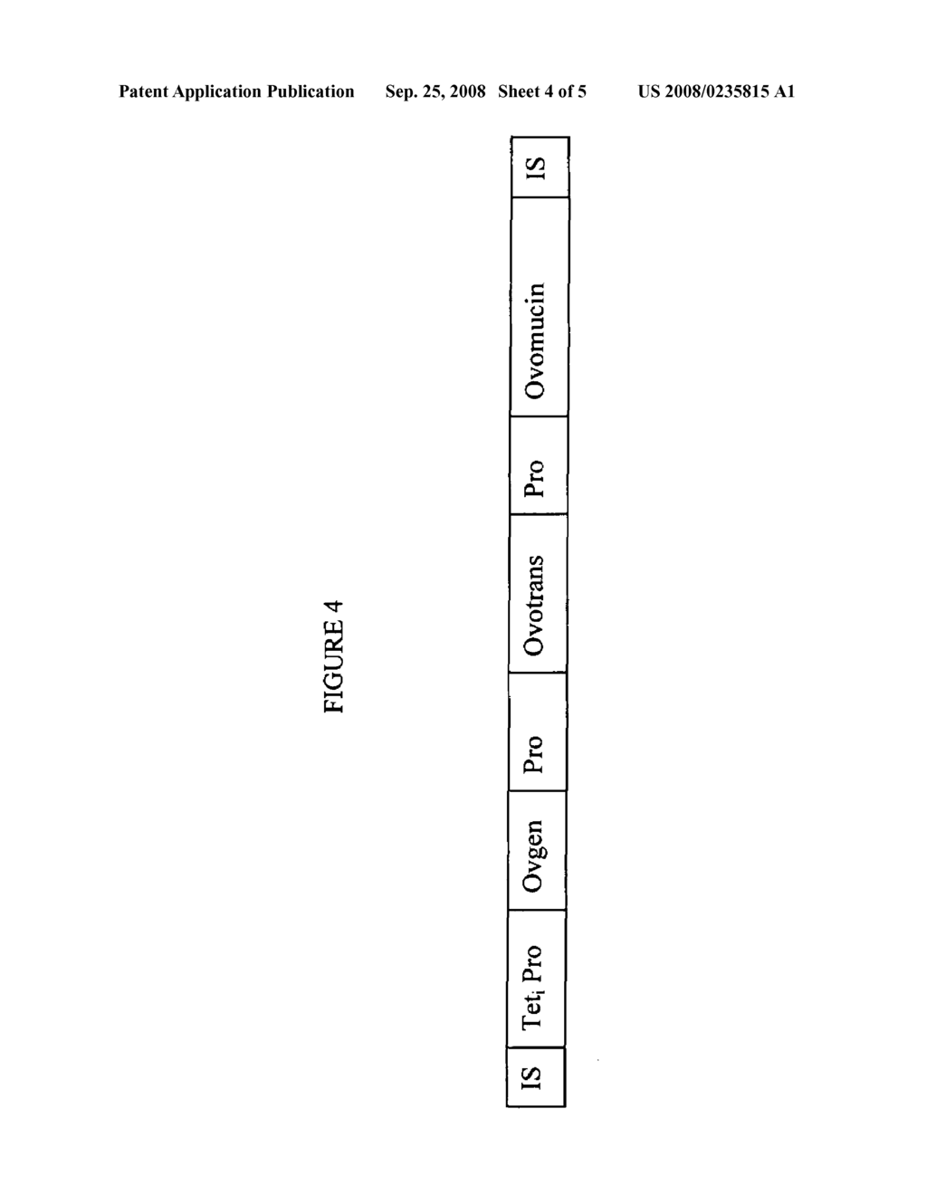 Administration of transposon-based vectors to reproductive organs - diagram, schematic, and image 05