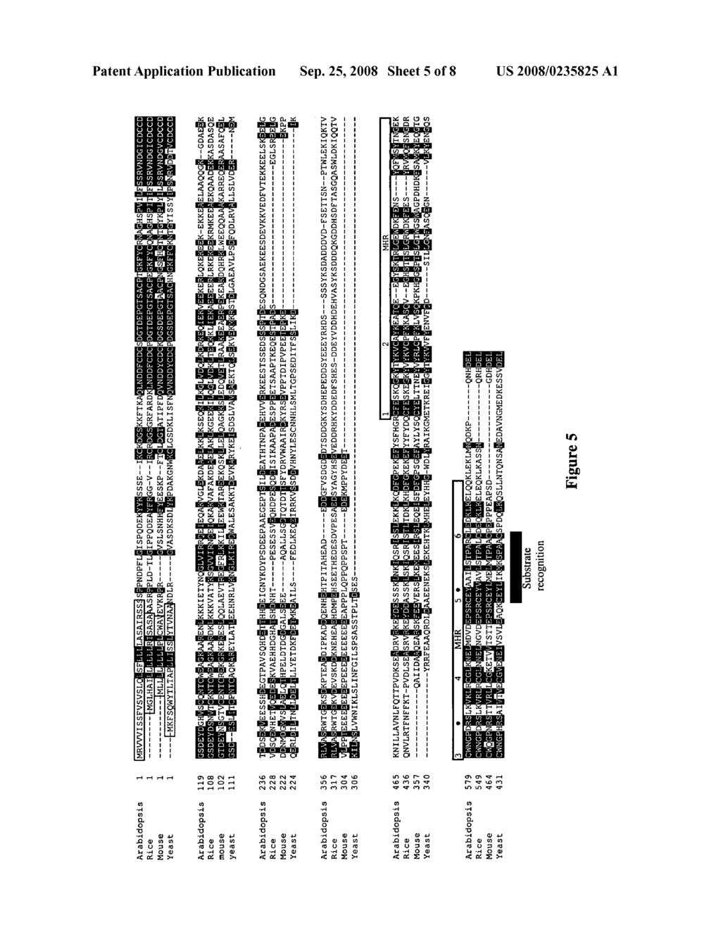 Methods and means for modulating cellulose biosynthesis in fiber producing - diagram, schematic, and image 06