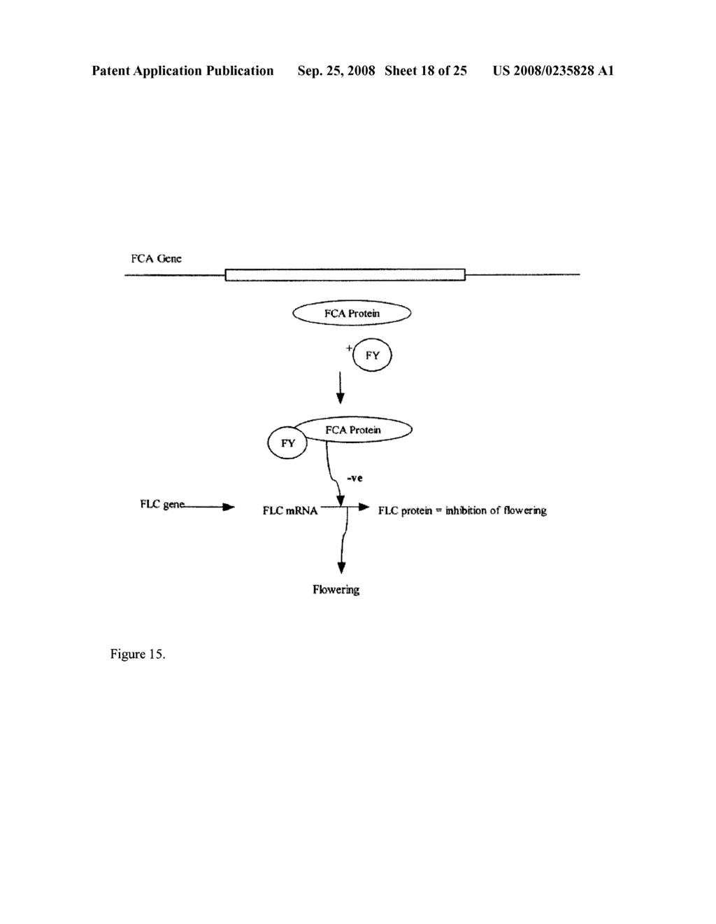 PLANT PROTEINS HAVING AN ABSCISIC ACID BINDING SITE AND METHODS OF USE - diagram, schematic, and image 19