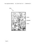 Hydroforming Method and Apparatus diagram and image