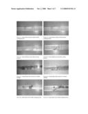 UTILIZATION OF COLORATION TO IMPROVE THE DETECTION OF  HIT OR MISS  DEFECTS WHEN USING SCANNER EQUIPMENT AND AN AUTOMATED SAW TO REMOVE DEFECTS IN WOOD PIECES diagram and image