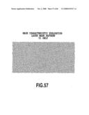 DATA PROCESSING METHOD, DATA PROCESSING APPARATUS, MASK GENERATION METHOD, AND MASK PATTERN diagram and image