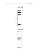 TRANSMISSIVE ACTIVE GRATING DEVICE diagram and image