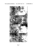 Functional Dissipation Classification of Retinal Images diagram and image