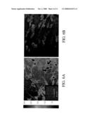 MULTI-USE MULTIMODAL IMAGING CHELATES diagram and image