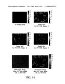 MULTI-USE MULTIMODAL IMAGING CHELATES diagram and image