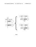 Hybrid Recombinases for Genome Manipulation diagram and image