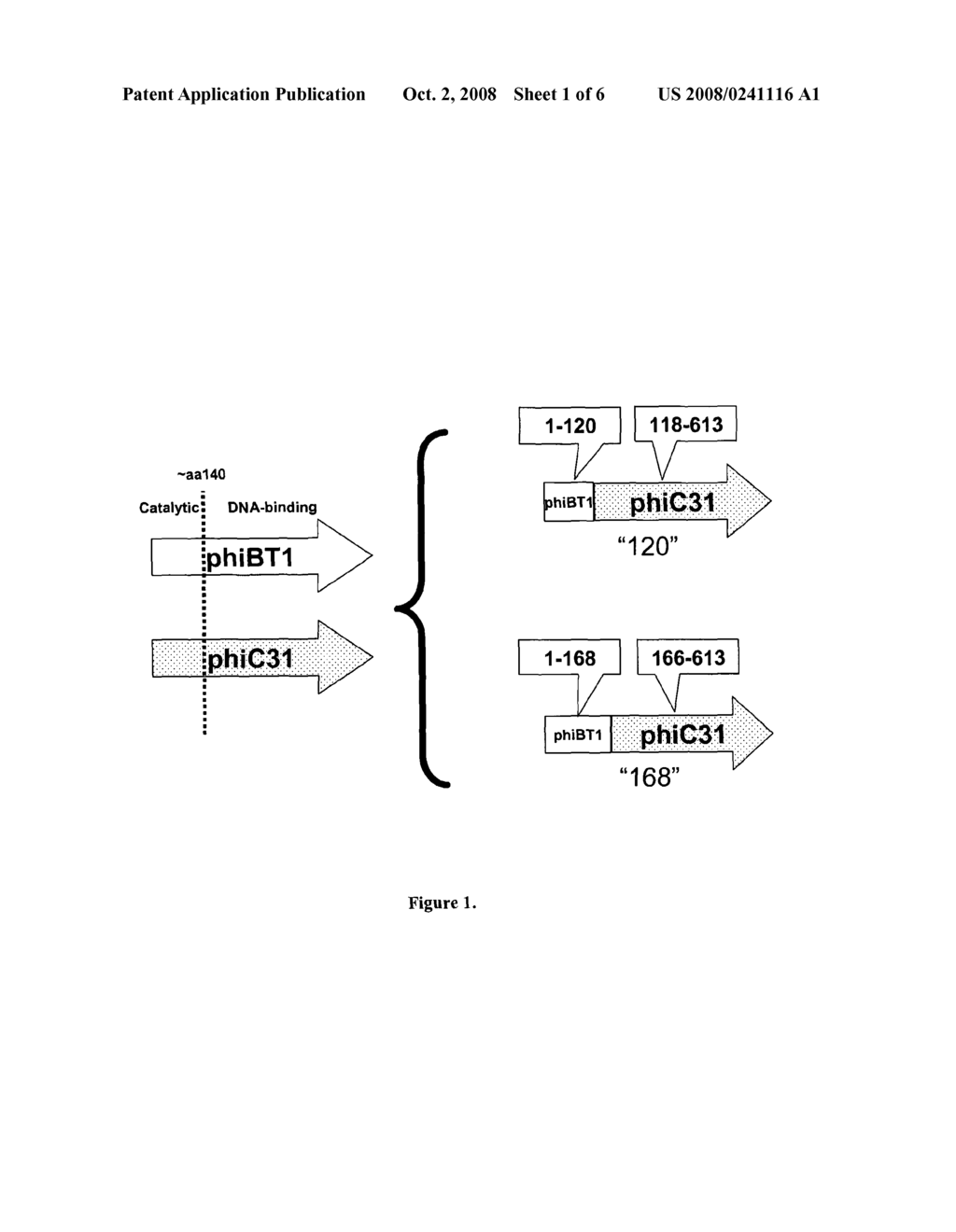 Hybrid Recombinases for Genome Manipulation - diagram, schematic, and image 02