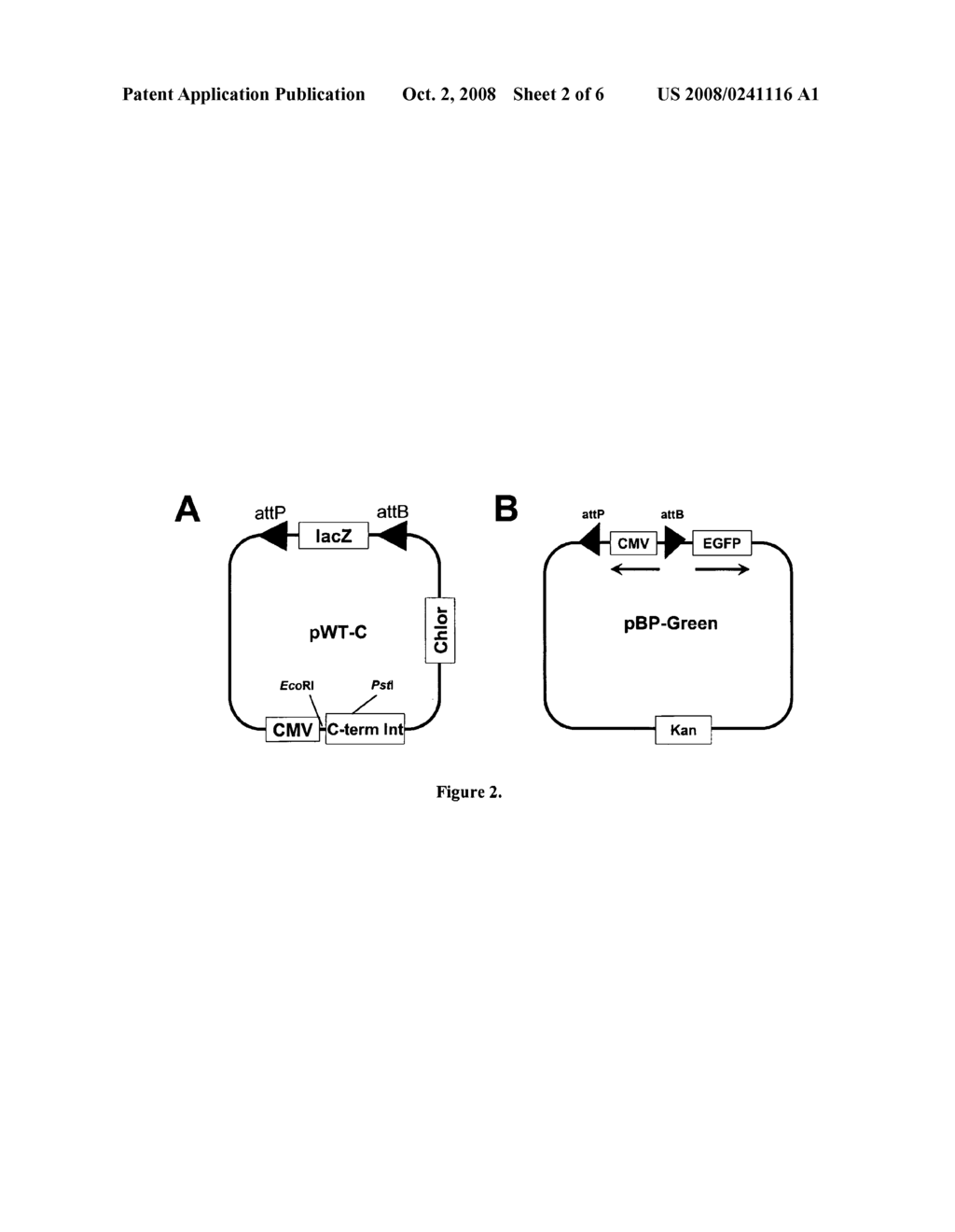 Hybrid Recombinases for Genome Manipulation - diagram, schematic, and image 03