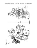 Functional negative regulatory domain sequences from human NOTCH1 and 2 and isolated LNR domains from human NOTCH1 diagram and image