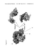 Functional negative regulatory domain sequences from human NOTCH1 and 2 and isolated LNR domains from human NOTCH1 diagram and image