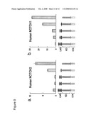 Functional negative regulatory domain sequences from human NOTCH1 and 2 and isolated LNR domains from human NOTCH1 diagram and image